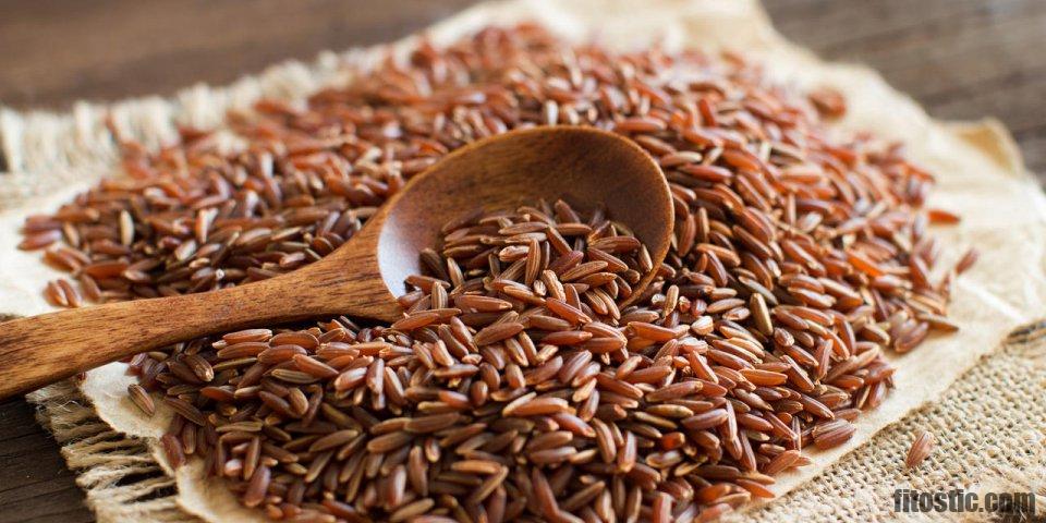 Est-ce que le riz rouge est bon pour le cholestérol ?