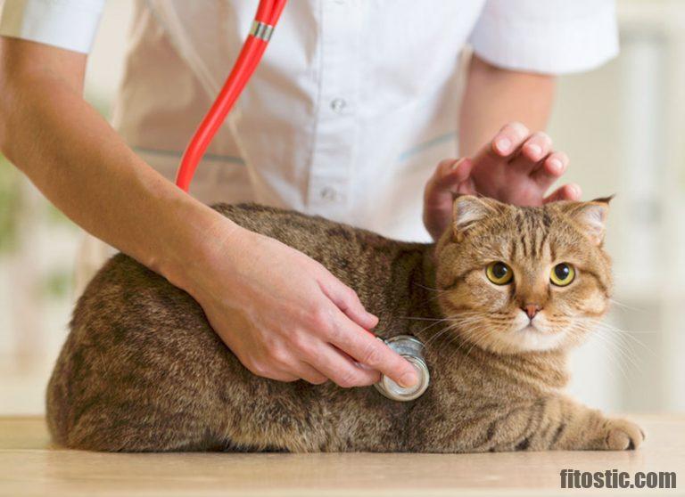 Est-ce que les animaux peuvent tomber malade ?