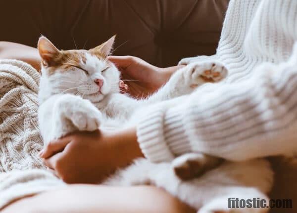 Est-ce qu'un chien peut manger un os de poulet ?