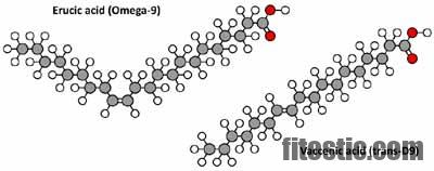 Is omega-9 anti-inflammatory?