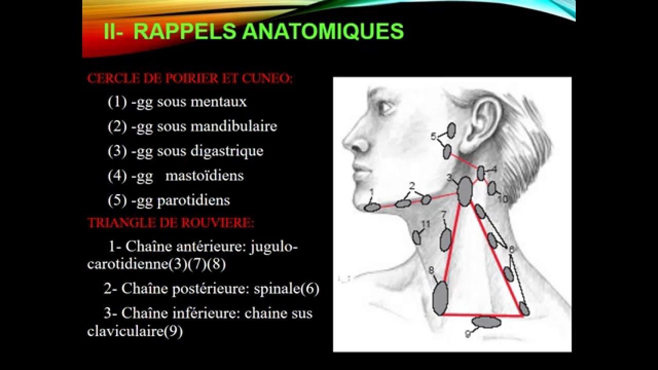 Où se trouve le ganglion Sus-claviculaire ?