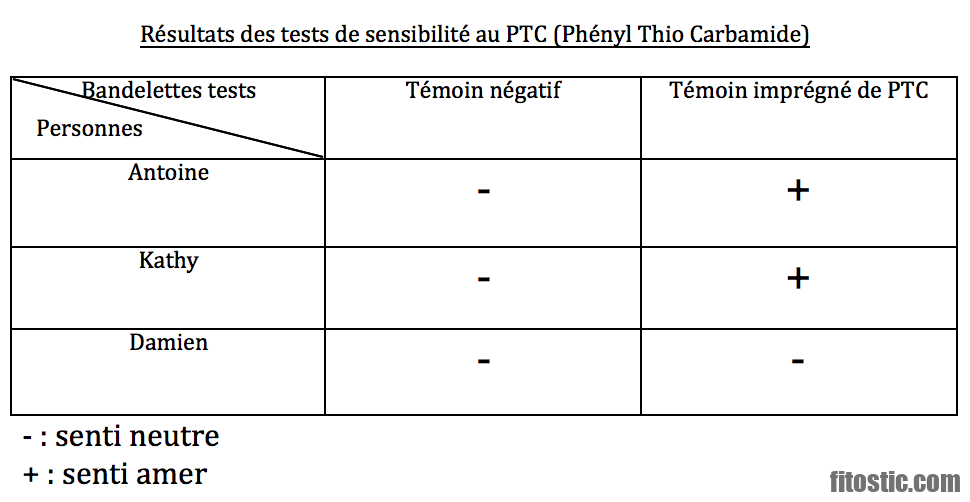 Pourquoi certaines personnes ne supportent pas la chaleur ?