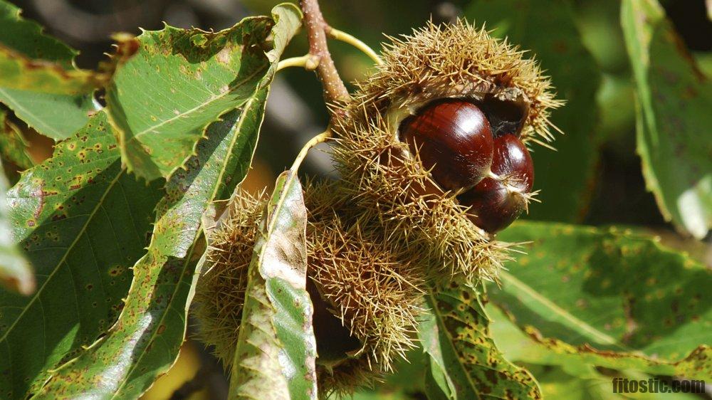 Pourquoi il ne faut pas prendre la pilule ?