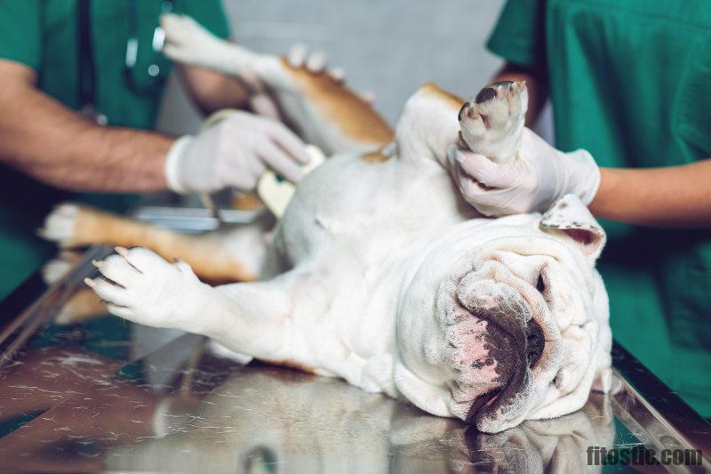 Pourquoi J Ai Une Boule Dans La Nuque Fitostic Com Sport Mode Beaute Lifestyle Magazine Pourquoi J Ai Une Boule Dans La Nuque Fitostic Com Sport Mode Beaute Lifestyle Magazine