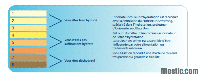 Pourquoi mon urine est acide ?