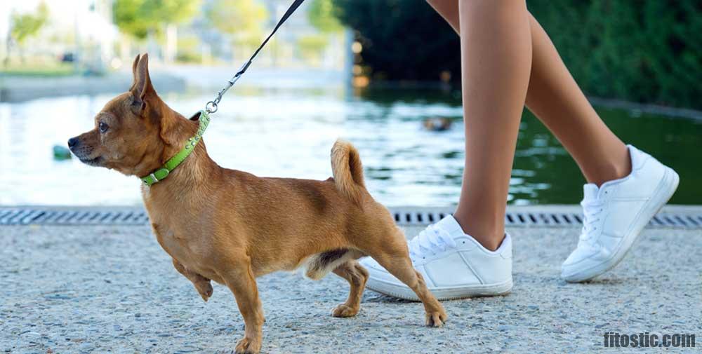 Pourquoi un seul pied gonflé ?