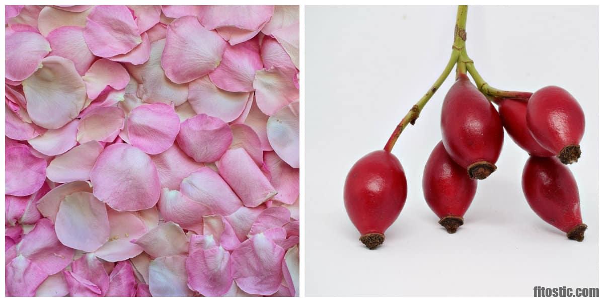 Quand et comment appliquer de l'eau de rose ?