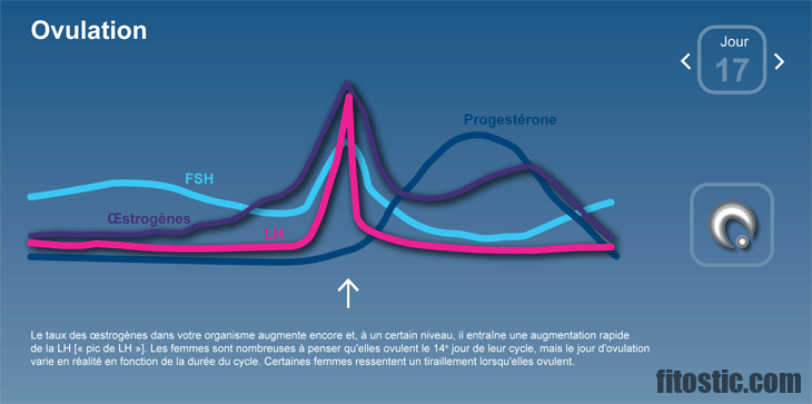 Quand le follicule libéré l'ovule ?