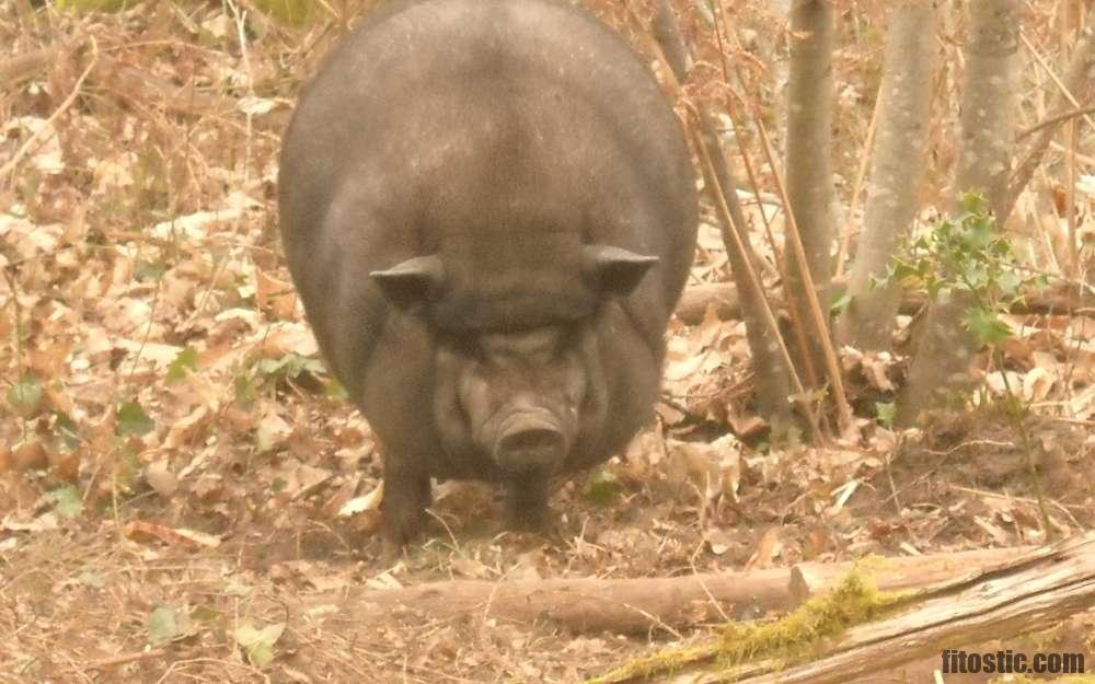 Quand on a du mal à voir de près ?