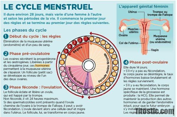 Quand ovulation après smiley fixe ?