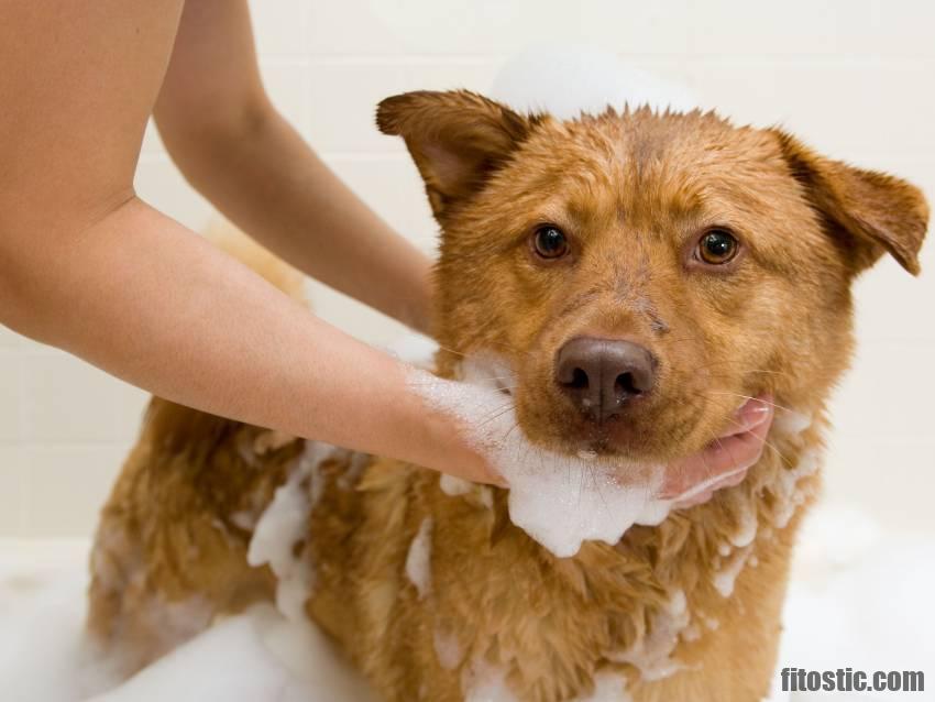 Quand prendre un bain après accouchement ?