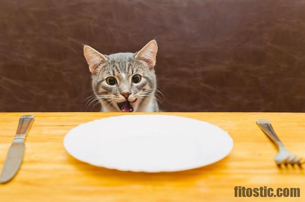 Quel aliment peut tuer un chat ?