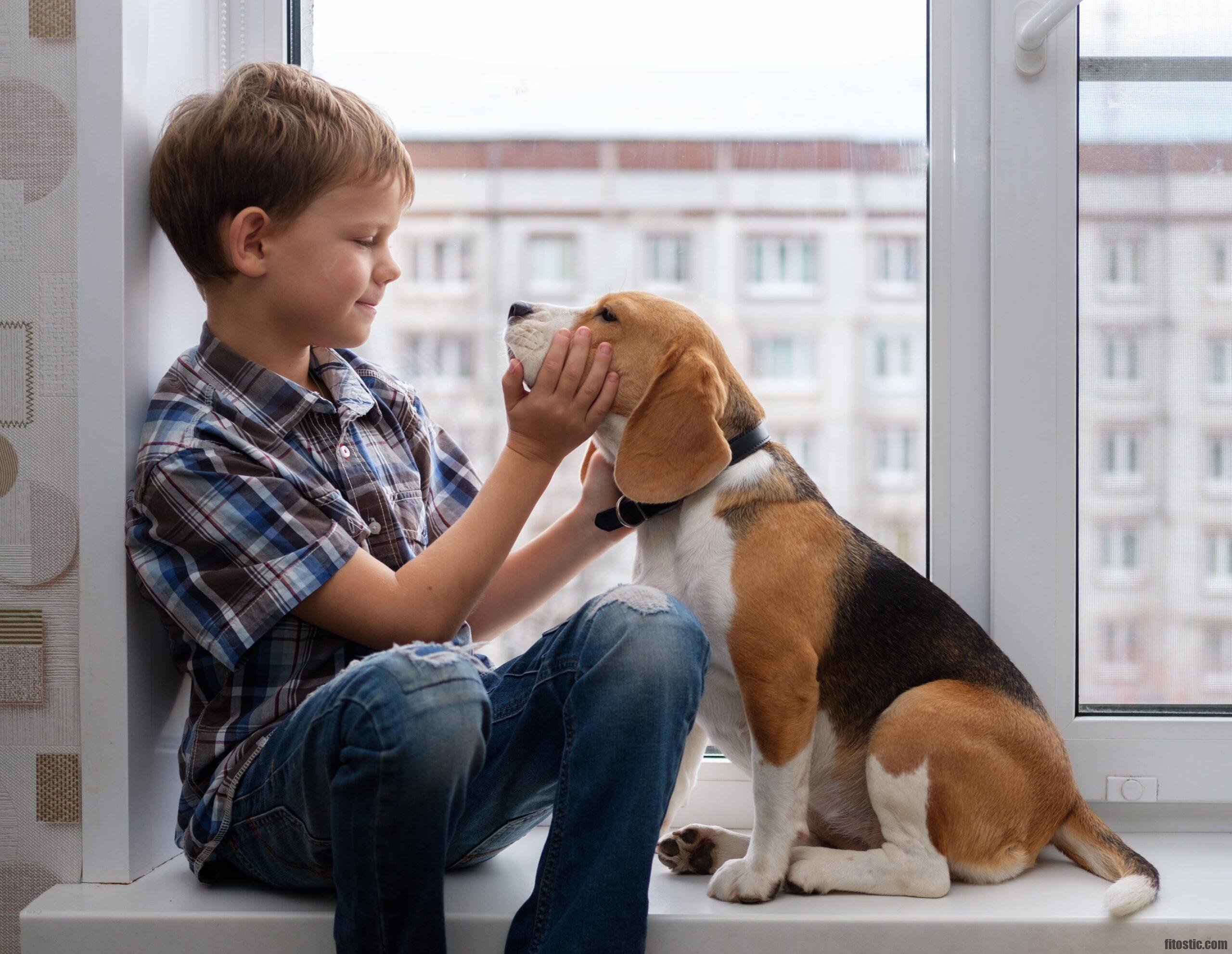 Quel chien pour un retraité ?