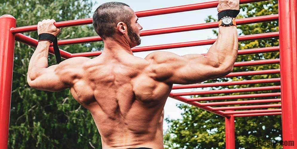 Quel est le bon taux de masse musculaire ?