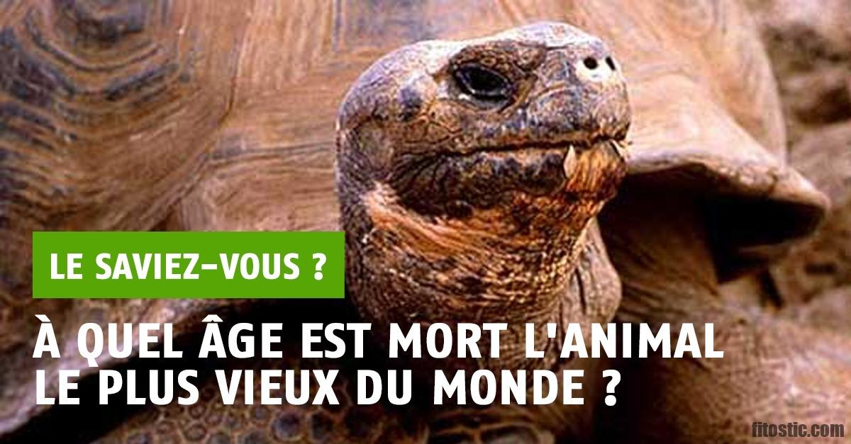 Quel est le laxatif le plus rapide ?