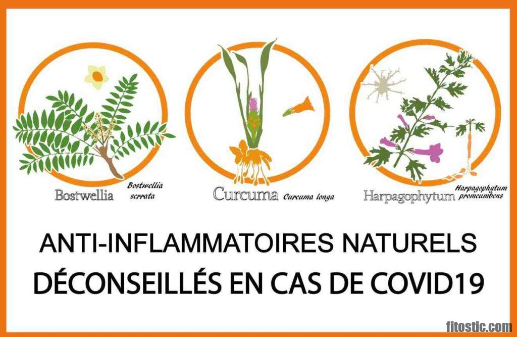 Quel est le meilleur Antiinflammatoire en homéopathie ?  Fitostic.com
