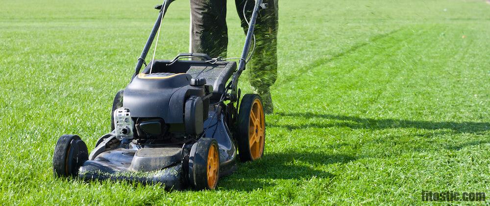 Quel est le meilleur moment pour prendre des probiotiques ?