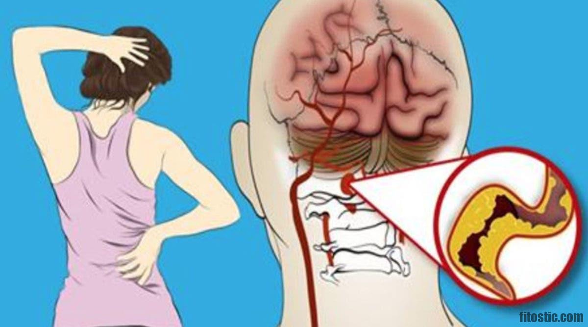 Quel est le rôle de la pénicilline ?