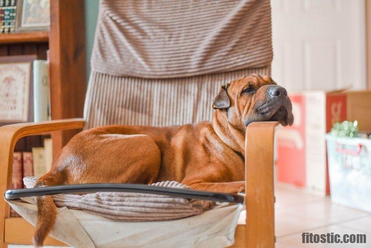 Quel est le somnifère le plus fort sans ordonnance ?