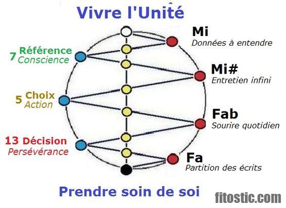 Quel est l'organe qui fabrique les globules rouges ?