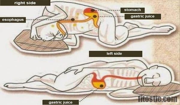 Quel organe A-t-on du côté droit ?