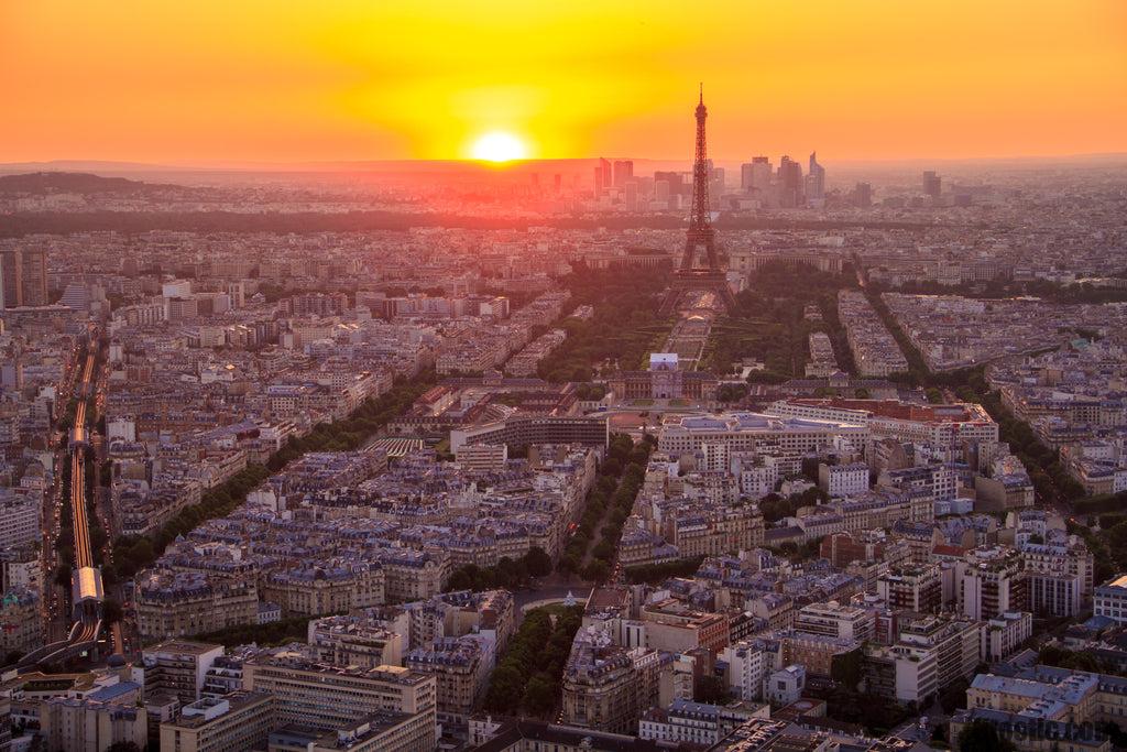 Quel pollen y A-t-il en ce moment ?