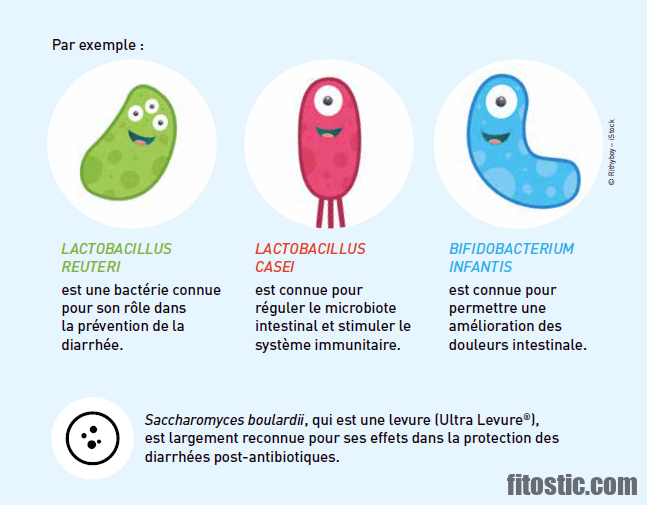 Quel probiotique pour constipation bébé ?