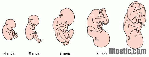 Quel risque à 4 mois de grossesse ?