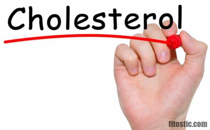 Quel taux de cholestérol LDL à ne pas dépasser ?