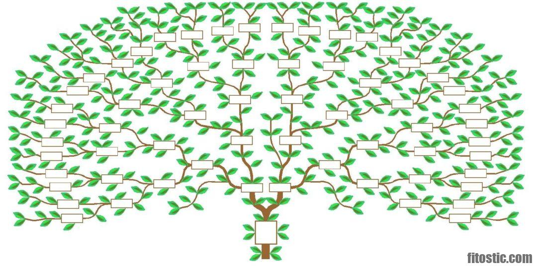 Quel test pour connaître ses origines ?