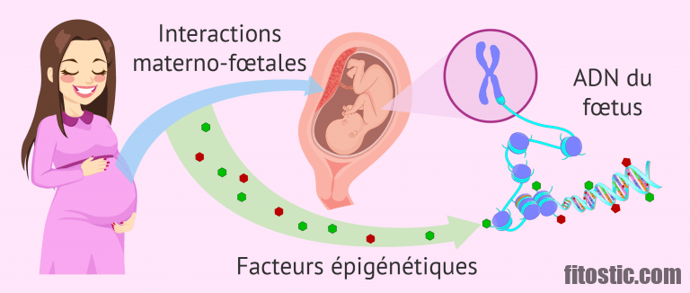 Quel traitement pour receveuse d'ovocytes ?