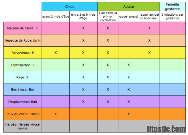 Quel vaccin pour chiot 2 mois ? - Fitostic.com - Sport, Mode, Beauté Quel vaccin pour chiot 2 mois ? - Fitostic.com - Sport, Mode, Beauté