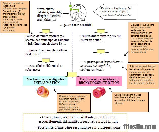 Quelle allergie en ce moment 2022 ?