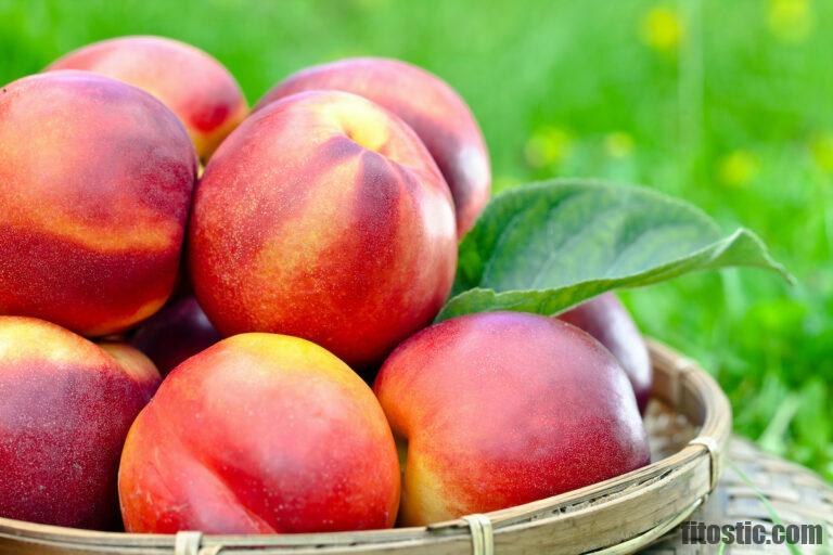 Quelle est la différence entre la nectarine et le brugnon ?