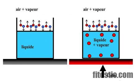 Quelle est la différence entre pneumonie et pneumopathie ?