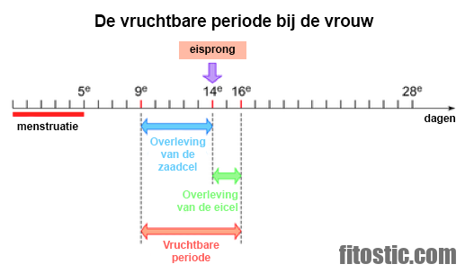 Quelle est la règle d'Appert ?