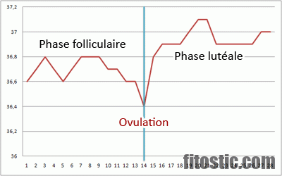 Quelle est la température pour être enceinte ?