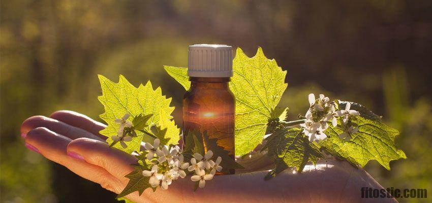 Quelle fleur de Bach pour un TDAH ?