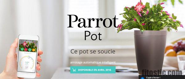 Quelle plante pour remplacer un anxiolytique ?