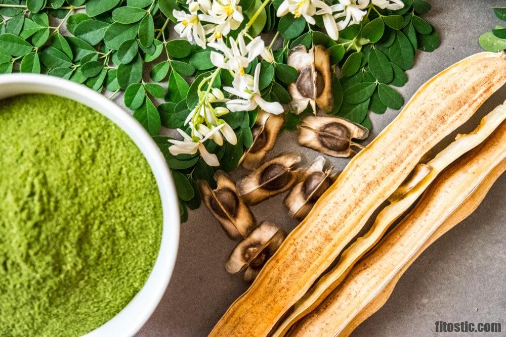 Quelle sont les bienfaits du Moringa ?