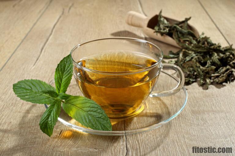 Quelle tisane pour la trachéite ?  Fitostic.com  Sport, Mode, Beauté