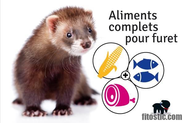 Quelle viande donner à un furet ?