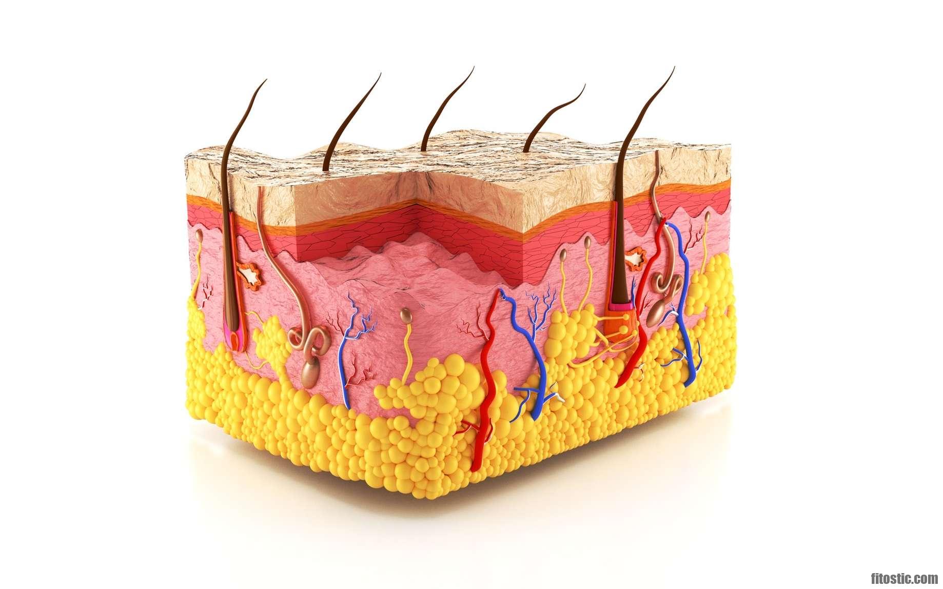 Quelles sont les infections de la peau ?