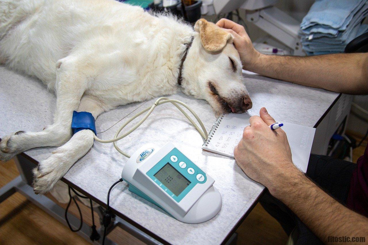 Quelles sont les maladies de la gorge ?