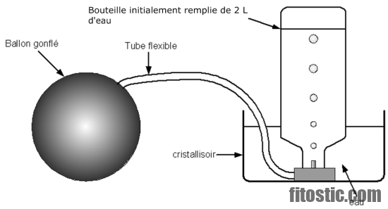 Quelles sont les propriétés de l'artichaut ?