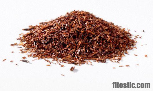 Quelles sont les vertus du thé rooibos ?