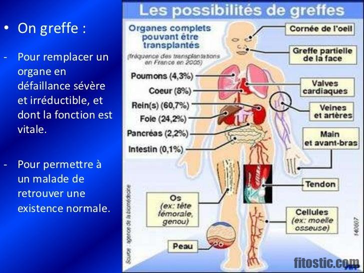 Quels sont les 7 organes vitaux ?