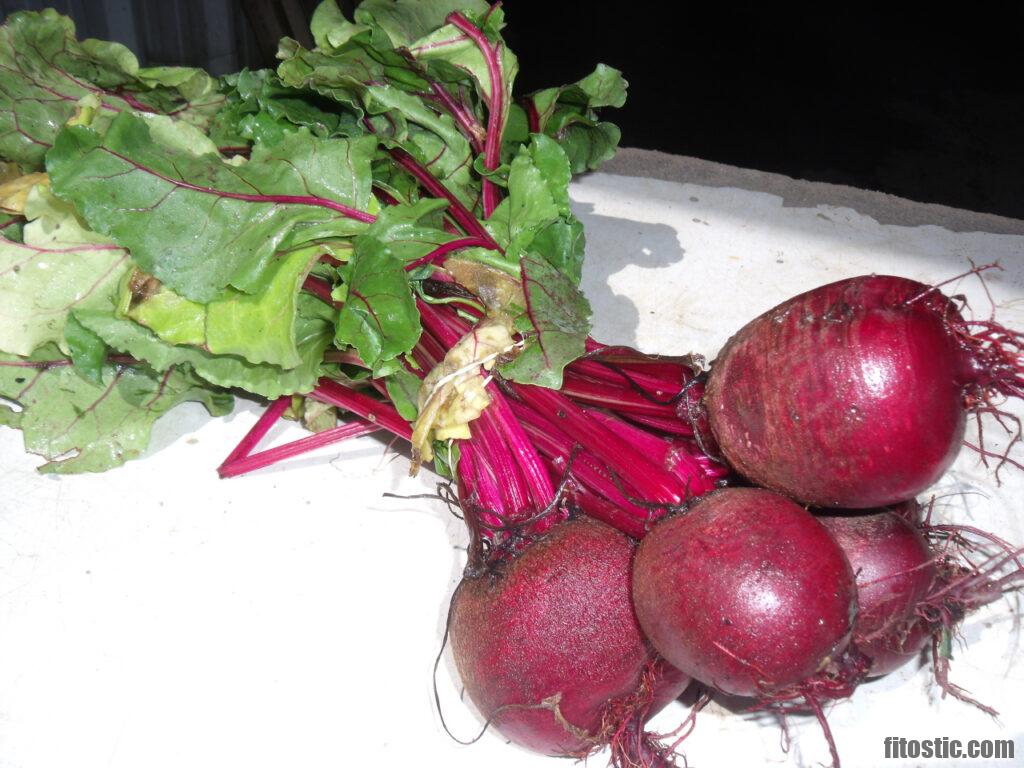 Quels sont les bienfaits de la betterave rouge cuite ? - Fitostic.com ...