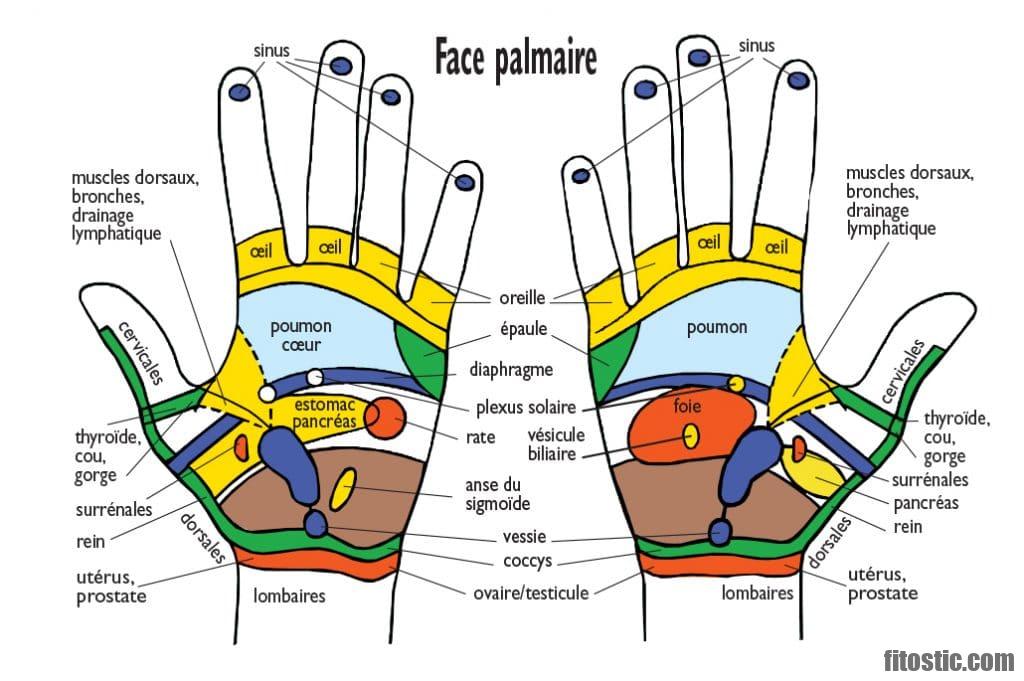 Quels sont les bienfaits de la réflexologie plantaire ?