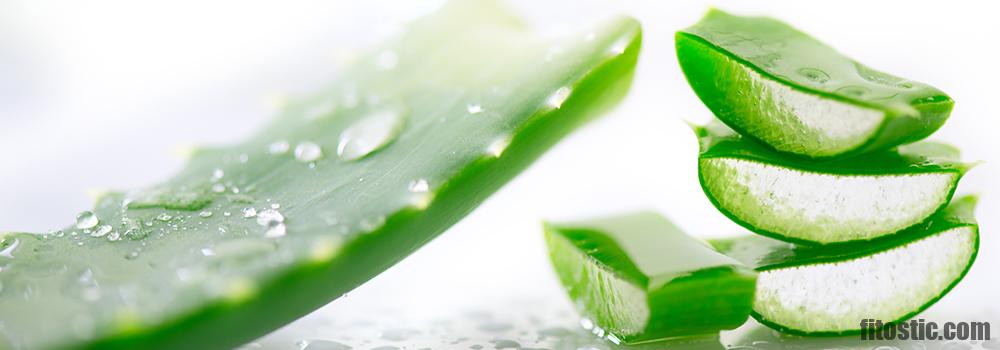 Quels sont les dangers de l'aloe vera ?